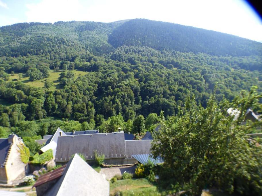 Maison Familiale Pour 8 Saint-Aventin Esterno foto