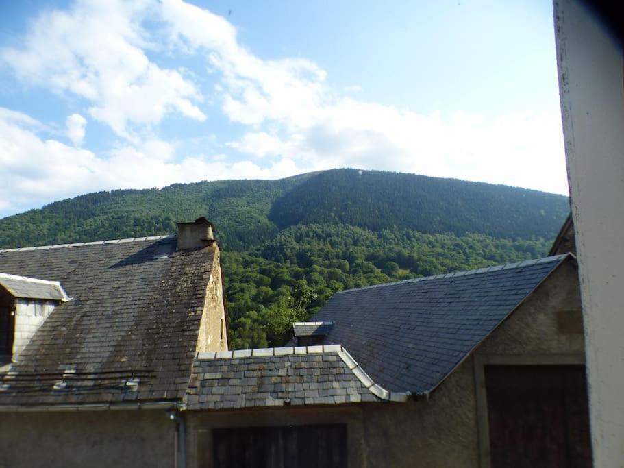Maison Familiale Pour 8 Saint-Aventin Esterno foto